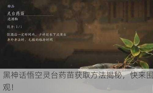 黑神话悟空灵台药苗获取方法揭秘，快来围观！