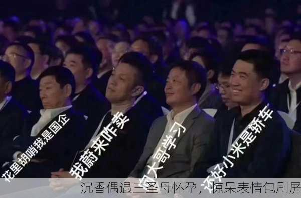 沉香偶遇三圣母怀孕，惊呆表情包刷屏