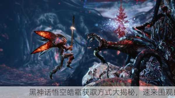 黑神话悟空皓霜获取方式大揭秘，速来围观！