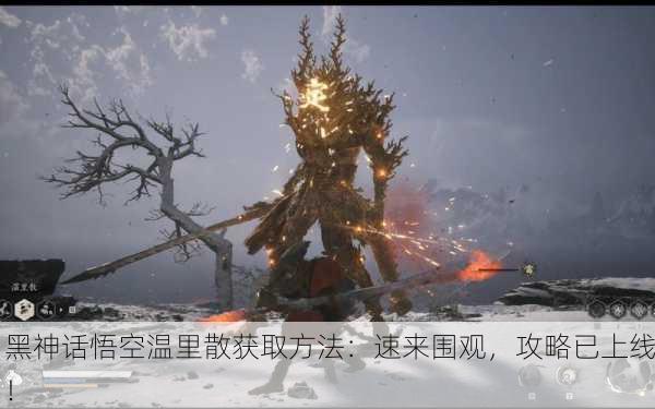 黑神话悟空温里散获取方法：速来围观，攻略已上线！