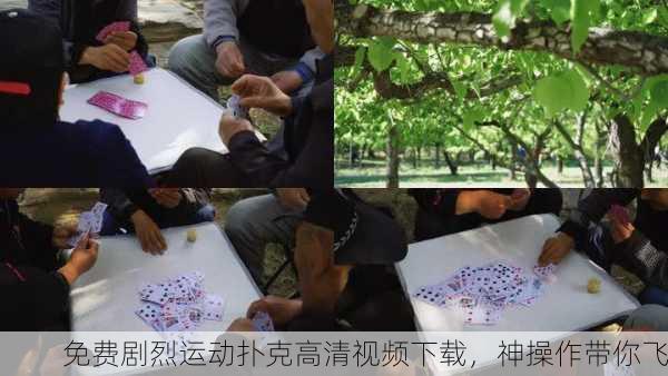 免费剧烈运动扑克高清视频下载，神操作带你飞