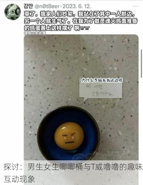 探讨：男生女生唧唧桶与T威噜噜的趣味互动现象