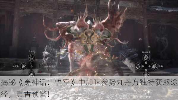 揭秘《黑神话：悟空》中加味参势丸丹方独特获取途径，真香预警！