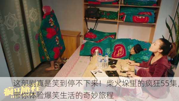 这部剧真是笑到停不下来！柴火垛里的疯狂55集，带你体验爆笑生活的奇妙旅程