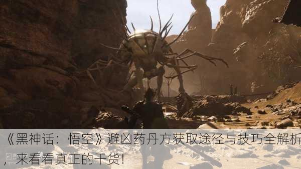 《黑神话：悟空》避凶药丹方获取途径与技巧全解析，来看看真正的干货！