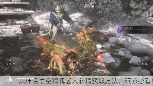 黑神话悟空精魄老人参精获取方法，玩家必看！
