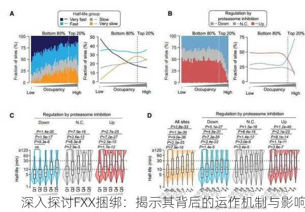 深入探讨FXX捆绑：揭示其背后的运作机制与影响