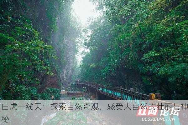 白虎一线天：探索自然奇观，感受大自然的壮丽与神秘