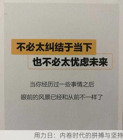 用力日：内卷时代的拼搏与坚持