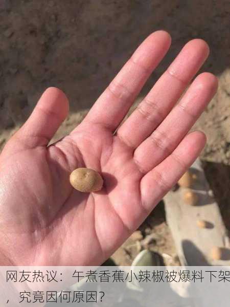 网友热议：午煮香蕉小辣椒被爆料下架，究竟因何原因？