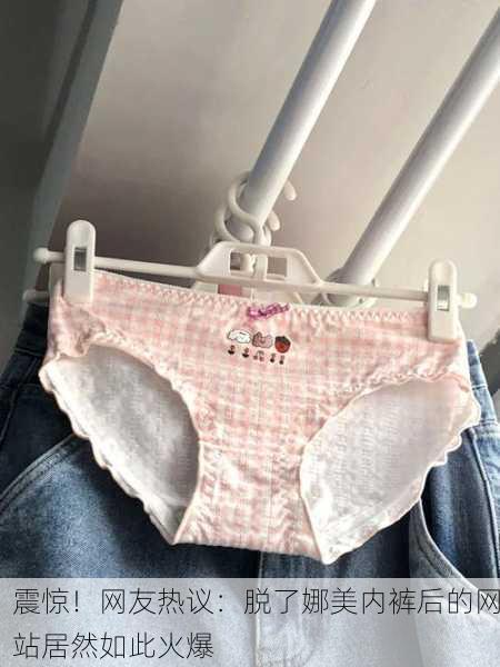 震惊！网友热议：脱了娜美内裤后的网站居然如此火爆