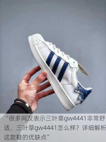 “很多网友表示三叶草gw4441非常舒适，三叶草gw4441怎么样？详细解析这款鞋的优缺点”