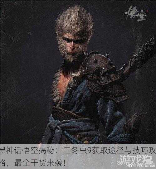 黑神话悟空揭秘：三冬虫9获取途径与技巧攻略，最全干货来袭！