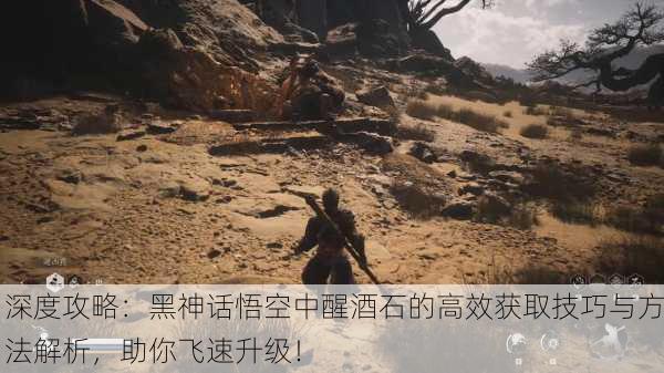深度攻略：黑神话悟空中醒酒石的高效获取技巧与方法解析，助你飞速升级！