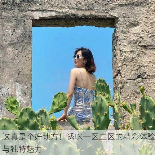 这真是个好地方！诱咪一区二区的精彩体验与独特魅力