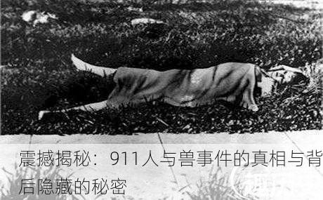 震撼揭秘：911人与兽事件的真相与背后隐藏的秘密