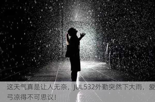 这天气真是让人无奈，JUL532外勤突然下大雨，爱弓凉得不可思议！