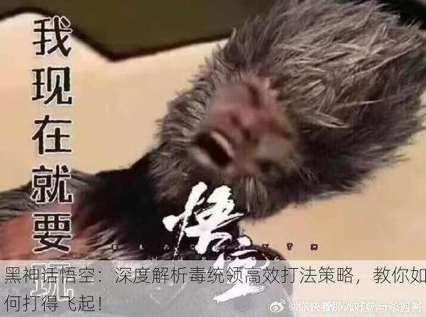 黑神话悟空：深度解析毒统领高效打法策略，教你如何打得飞起！