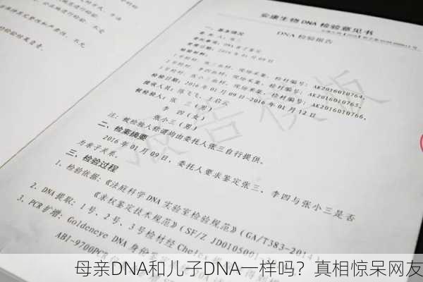 母亲DNA和儿子DNA一样吗？真相惊呆网友