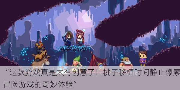 “这款游戏真是太有创意了！桃子移植时间静止像素冒险游戏的奇妙体验”