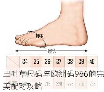 三叶草尺码与欧洲码966的完美配对攻略