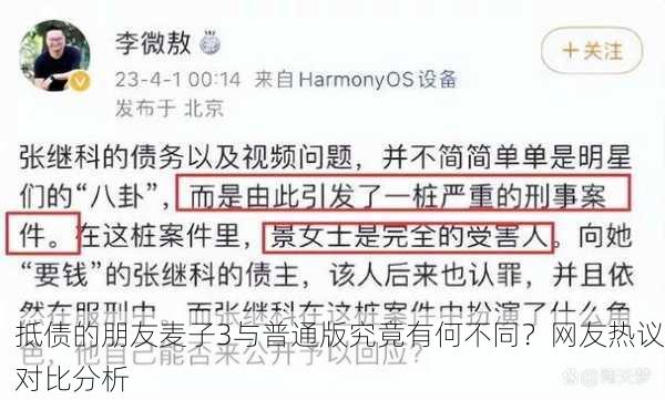 抵债的朋友麦子3与普通版究竟有何不同？网友热议对比分析