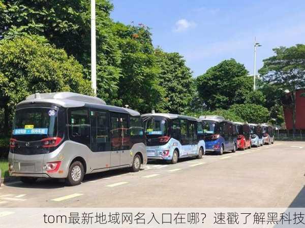 tom最新地域网名入口在哪？速戳了解黑科技