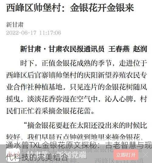 通水管TXL金银花原文探秘：古老智慧与现代科技的完美结合