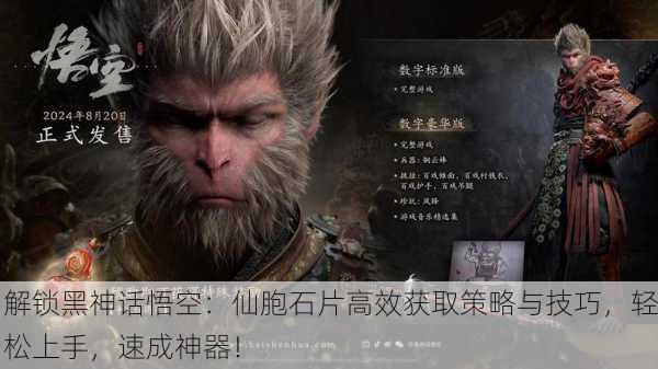 解锁黑神话悟空：仙胞石片高效获取策略与技巧，轻松上手，速成神器！