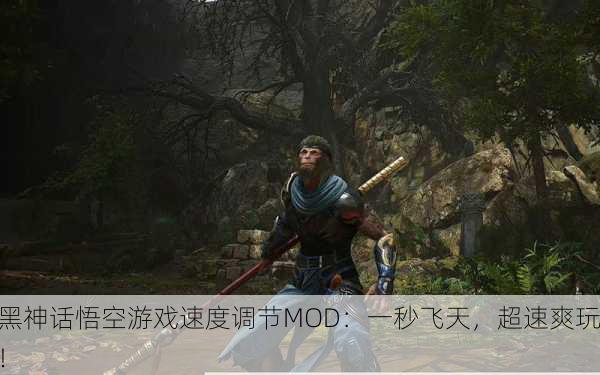 黑神话悟空游戏速度调节MOD：一秒飞天，超速爽玩！