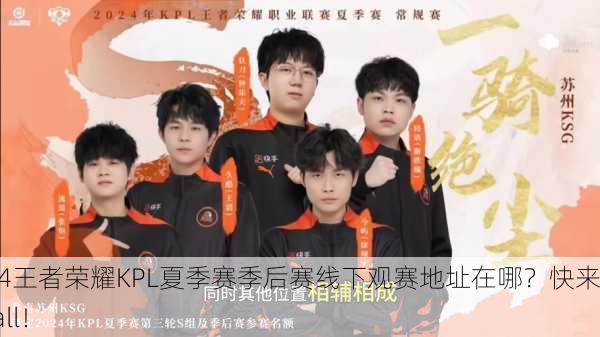 2024王者荣耀KPL夏季赛季后赛线下观赛地址在哪？快来打call！