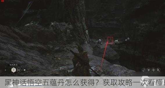 黑神话悟空五蕴丹怎么获得？获取攻略一次看懂！