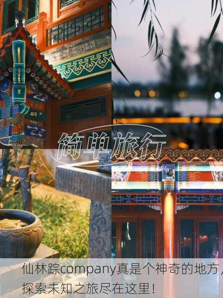 仙林踪company真是个神奇的地方，探索未知之旅尽在这里！