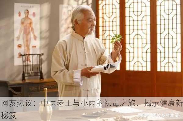 网友热议：中医老王与小雨的祛毒之旅，揭示健康新秘笈