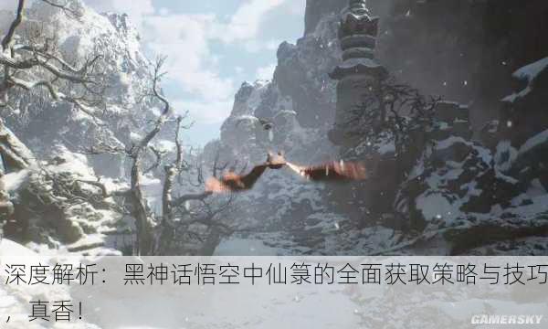 深度解析：黑神话悟空中仙箓的全面获取策略与技巧，真香！