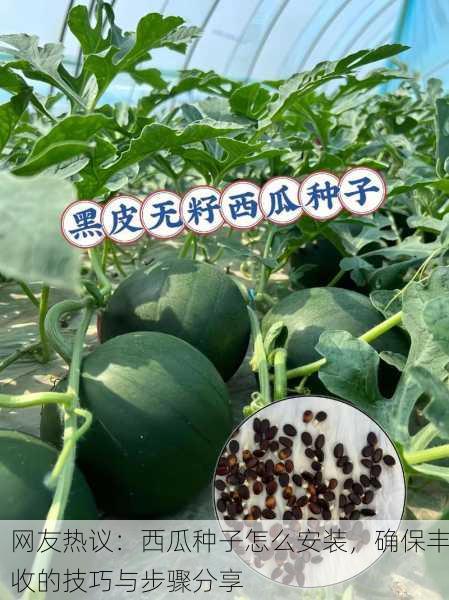 网友热议：西瓜种子怎么安装，确保丰收的技巧与步骤分享
