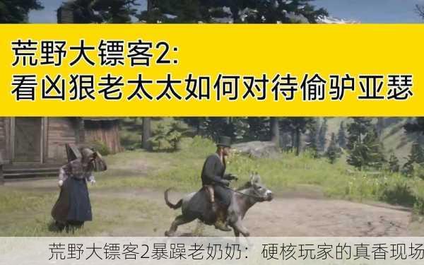 荒野大镖客2暴躁老奶奶：硬核玩家的真香现场