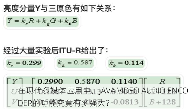 在现代多媒体应用中，JAVA VIDEO AUDIO ENCODER的功能究竟有多强大？