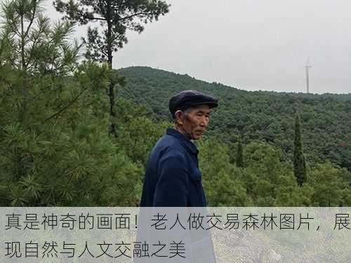 真是神奇的画面！老人做交易森林图片，展现自然与人文交融之美