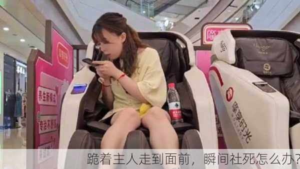 跪着主人走到面前，瞬间社死怎么办？