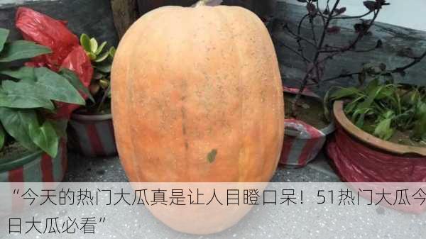“今天的热门大瓜真是让人目瞪口呆！51热门大瓜今日大瓜必看”
