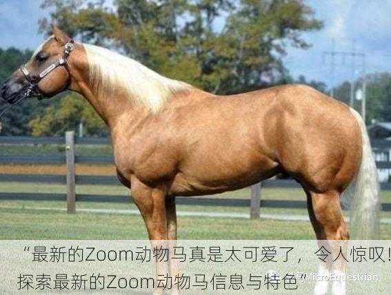 “最新的Zoom动物马真是太可爱了，令人惊叹！探索最新的Zoom动物马信息与特色”