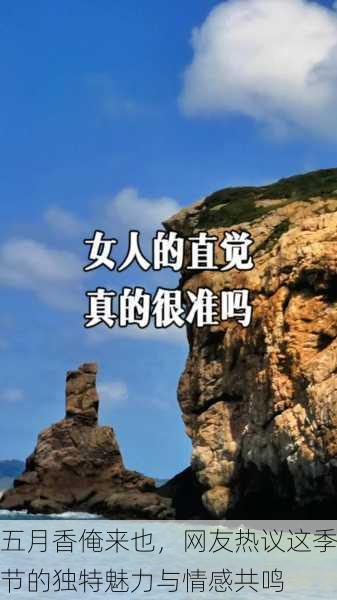 五月香俺来也，网友热议这季节的独特魅力与情感共鸣