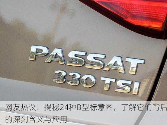 网友热议：揭秘24种B型标意图，了解它们背后的深刻含义与应用