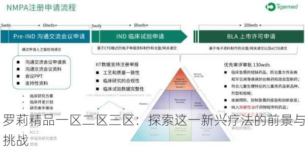 罗莉精品一区二区三区：探索这一新兴疗法的前景与挑战
