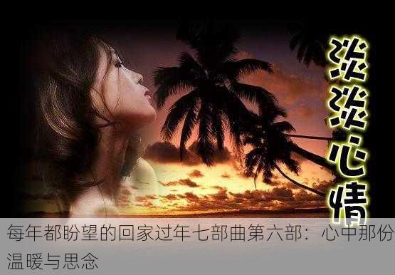 每年都盼望的回家过年七部曲第六部：心中那份温暖与思念
