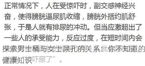 探索男士桶与女士尿孔的关系：你不知道的健康知识