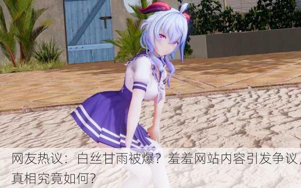 网友热议：白丝甘雨被爆？羞羞网站内容引发争议，真相究竟如何？