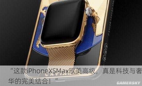 “这款iPhoneXSMax欧美高级，真是科技与奢华的完美结合！”