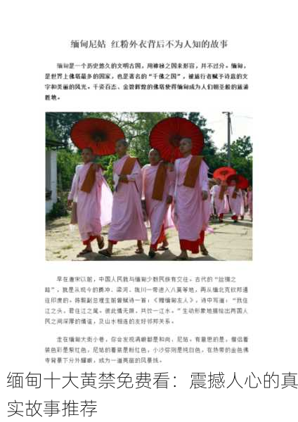 缅甸十大黄禁免费看：震撼人心的真实故事推荐